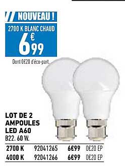 Lot De 2 Ampoules Led A60
