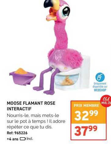 Mosse Flamant Rose Interactif