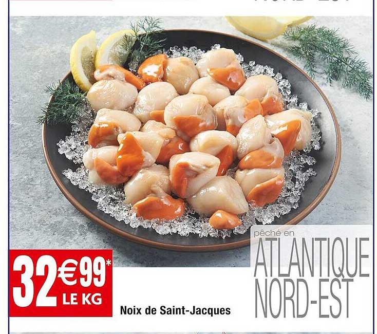 Noix De Saint-jacques