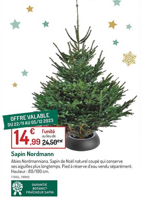 sapin nordmann