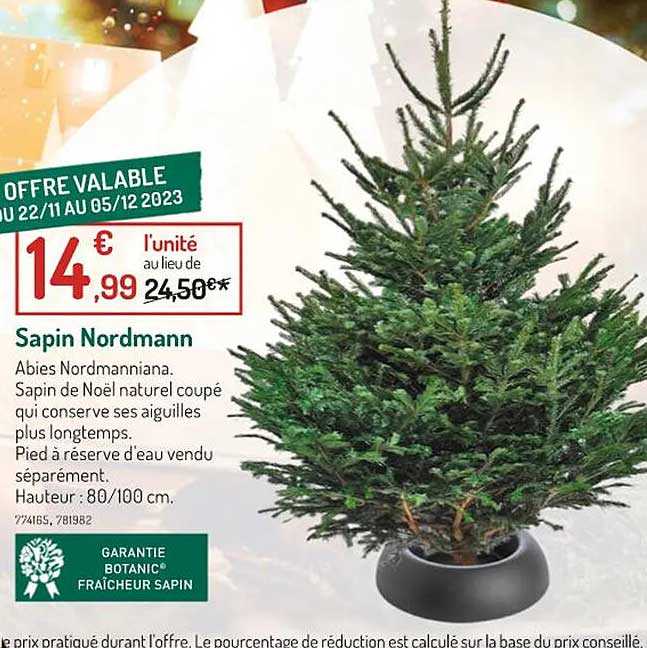 sapin nordmann