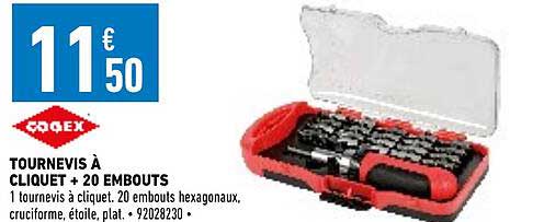 Tournevis à Cliquet + 20 Embouts Cogec