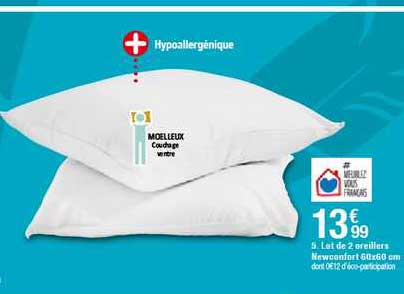 lot de 2 oreillers newconfort 60x60 cm