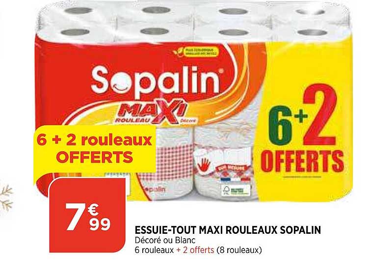 essuie-tout maxi rouleaux sopalin