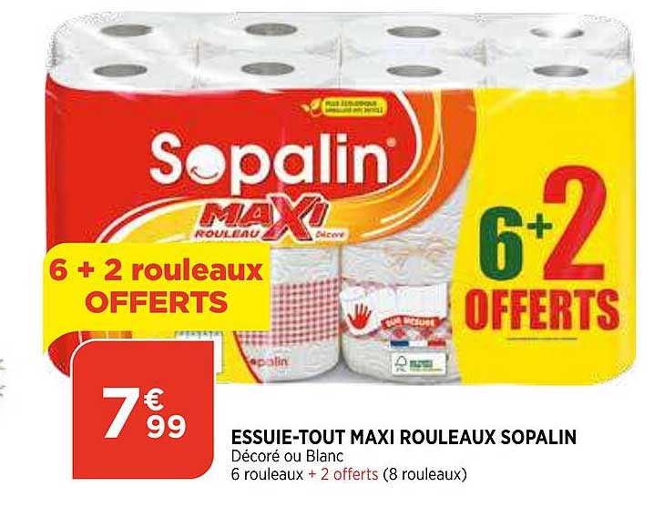 essuie-tout maxi rouleaux sopalin