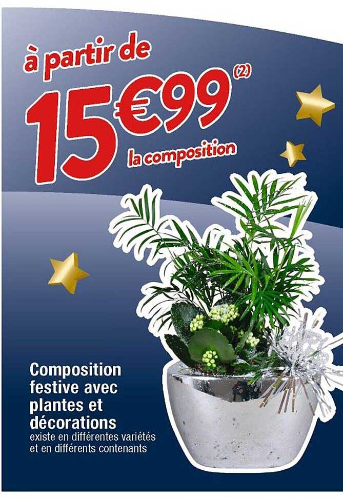 composition festive avec plantes et décorations