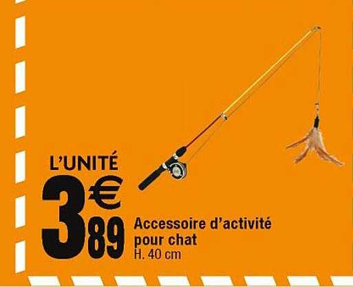 accessoire d'activité pour chat
