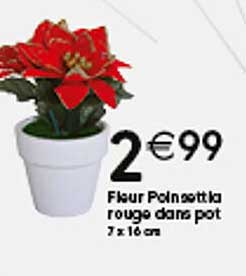 fleur poinsettia rouge dans  pot