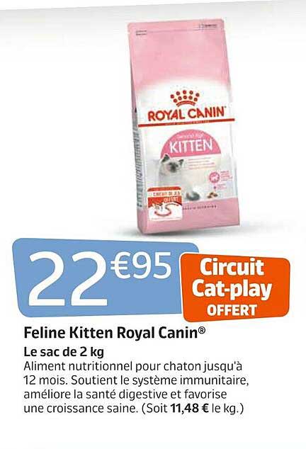 feline kitten royal canin