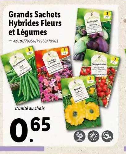 grands sachets hybrides fleurs et légumes
