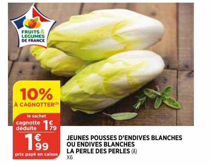 jeunes pousses d'endives blanches ou endives blanches la perle des perles