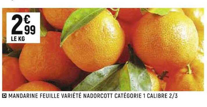 mandarine feuille variété nadorcott catégorie 1 calibre 2-3