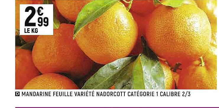 mandarine feuille variété nadorcottt catégorie 1 calibre 2 3