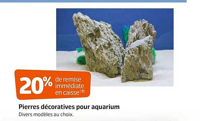 pierres décoratives pour aquarium