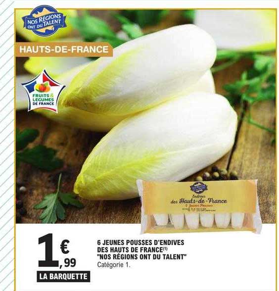 6 jeunes pousses d'endives des hauts de france "nos régions ont du talent"