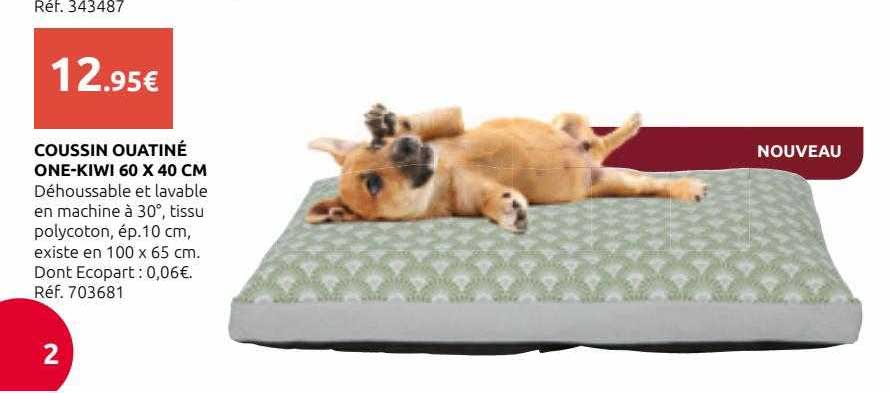coussin ouatiné one-kiwi 60 x 40 cm