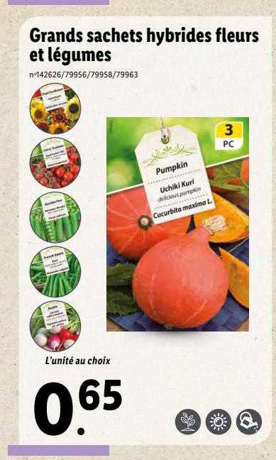 grands sachets hybrides fleurs et légumes