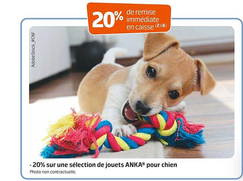 Jouets Anka Pour Chien