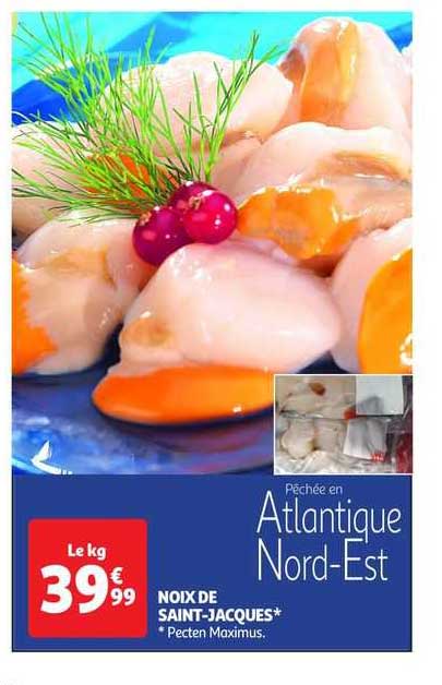 noix de saint-jacques