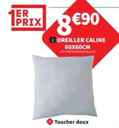 oreiller caline 60x60 cm