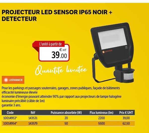 projecteur led sensor ip65 noir+ detecteur