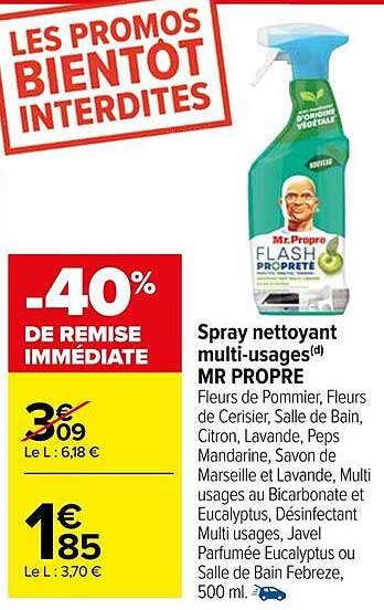 spray nettoyant multi-usages mr propre