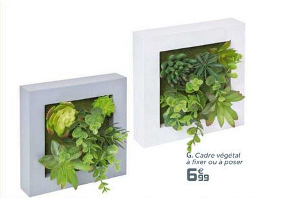 cadre végétal à fixer ou à poser