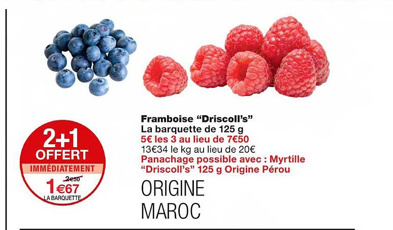 Framboise "driscoll's"