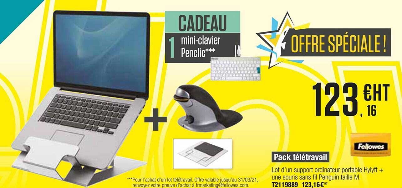 pack télétravail lot d'un support ordinateur portable hylyft + une souris sans fil penguin taille m fellowes