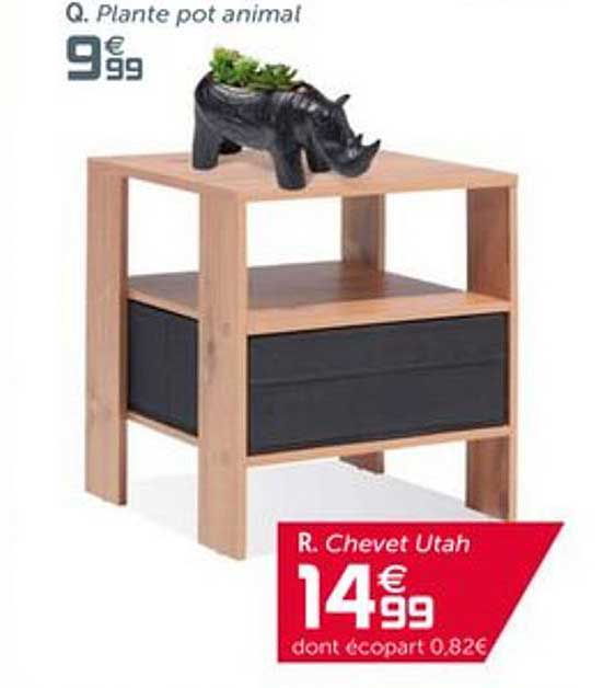 plante pot animal chevet utah