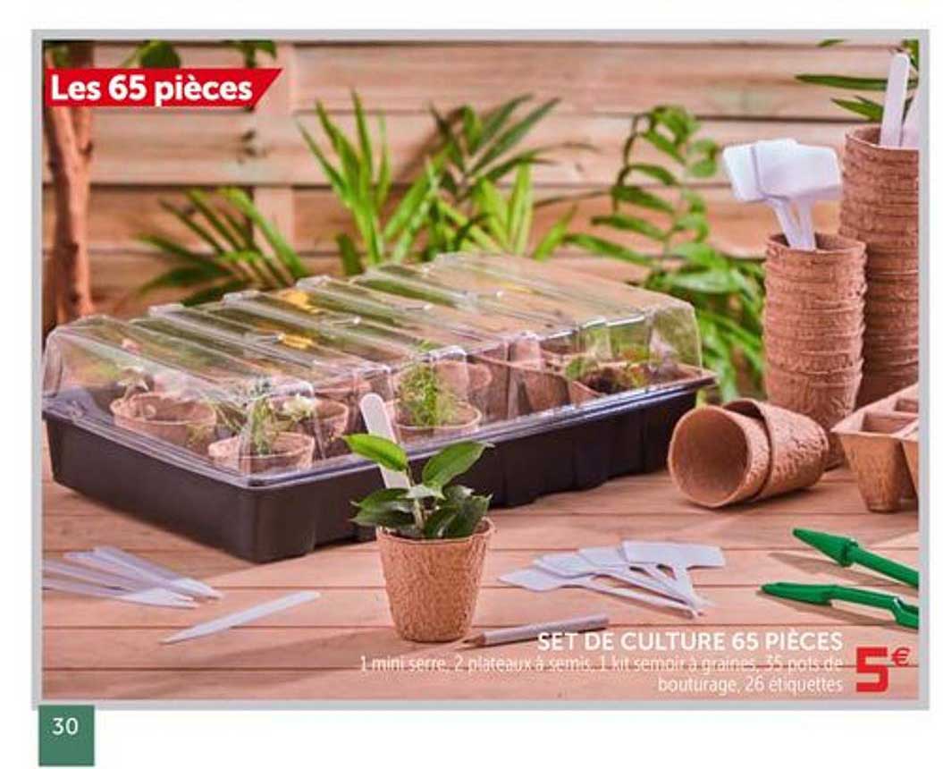 Set De Culture 65 Pièces