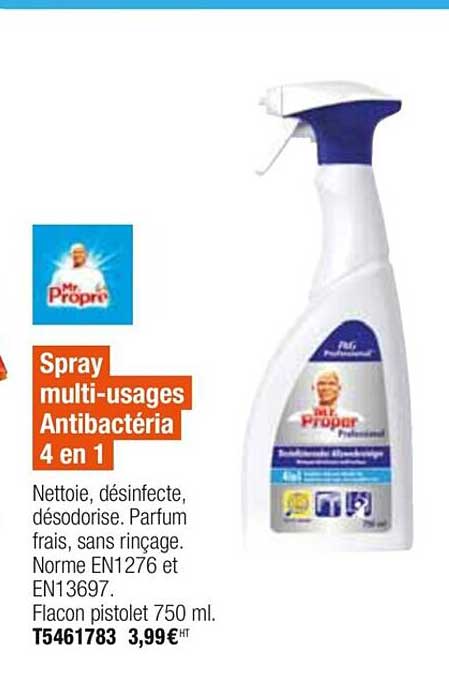 spray multi usages antibactéria 4 en 1 mr propre