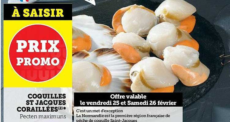 coquilles st jacques coraillées