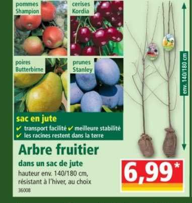 arbre fruitier dans un sac de jute