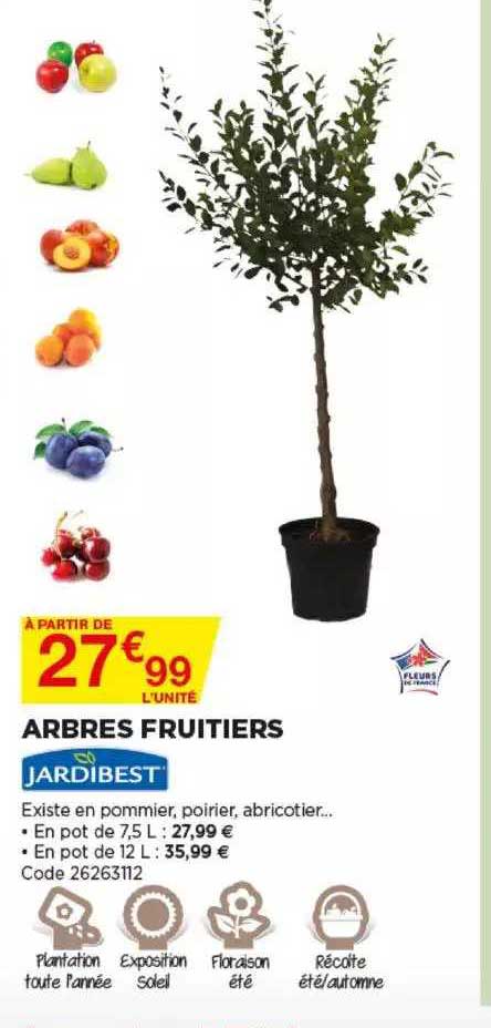 arbres fruitiers jardibest