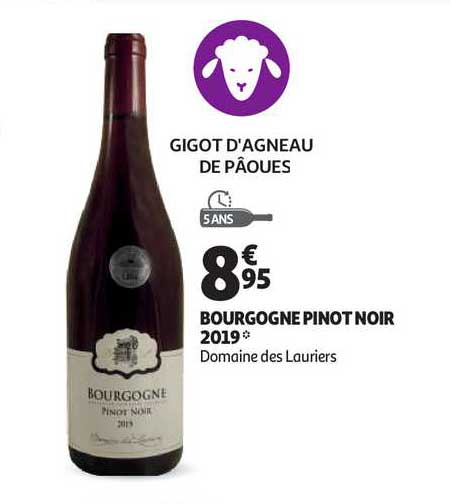 bourgogne pinot noir 2019 domaine des lauriers