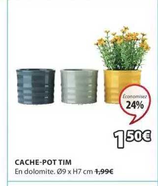cache-pot tim