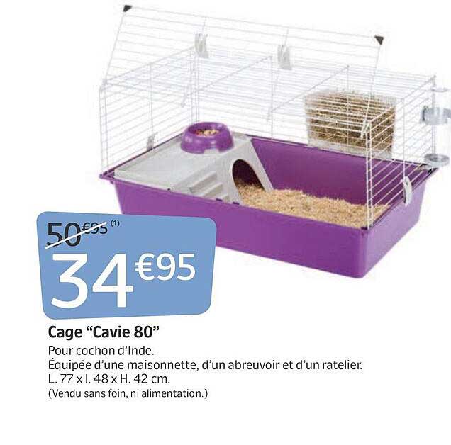 cage "cavie 80"