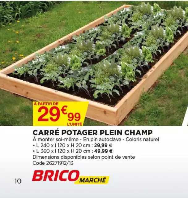 carré potager plein champ