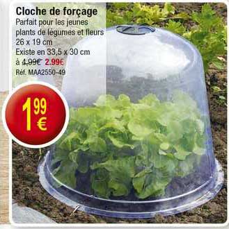 cloche de forçage
