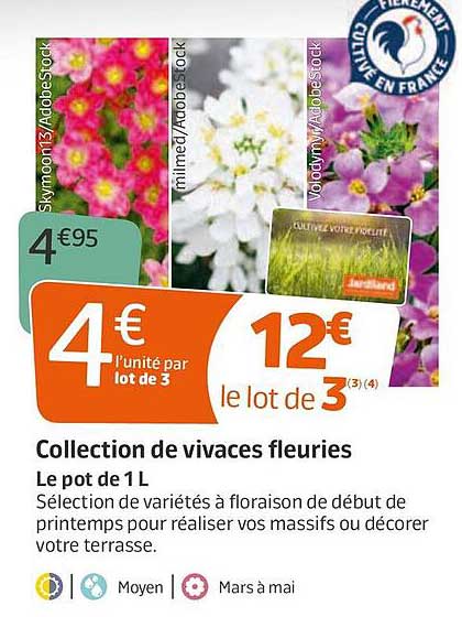 collection de vivaces fleuries