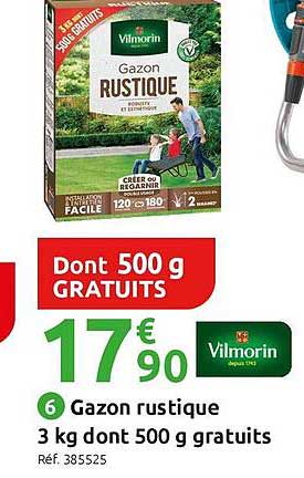 gazon rustique 3 kg dont 500 g gratuits vilmorin