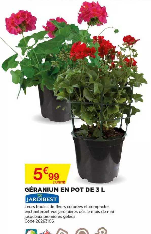 géranium en pot de 3l jardibest