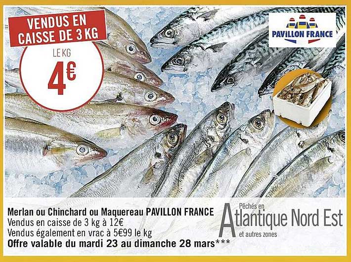merlan ou chinchard ou maquereau pavillon france