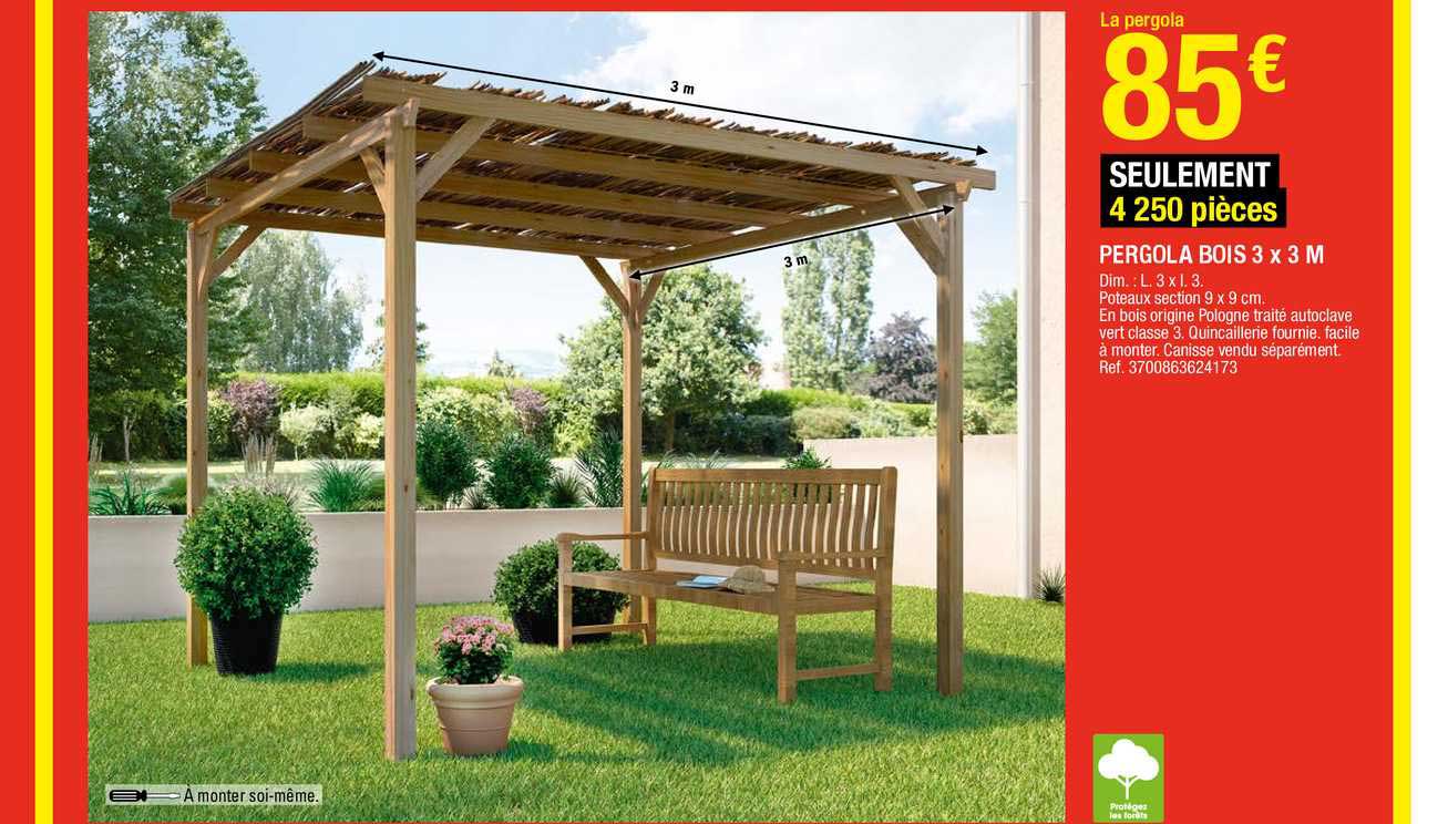 Pergola  Bois 3 X 3 M