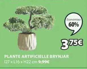 Plante Artificielle Brynjar