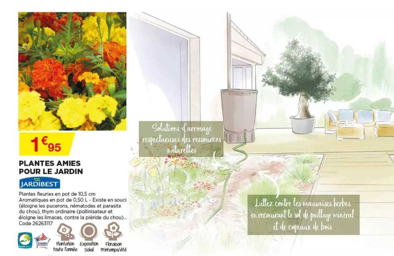 plantes amies pour le jardin jardibest