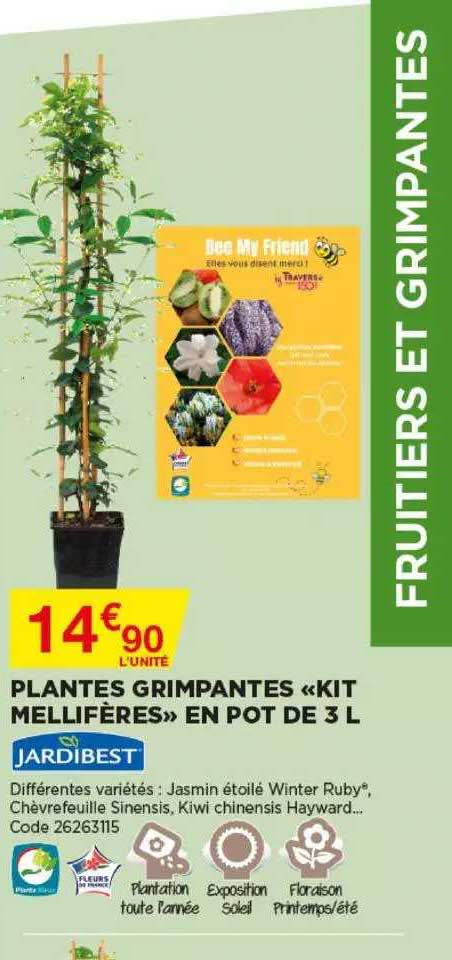 plantes grimpantes «kit mellifères» en pot de 3l jardibest