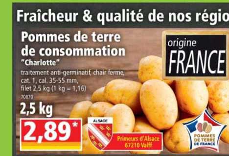 pommes de terre de consommation "charlotte"
