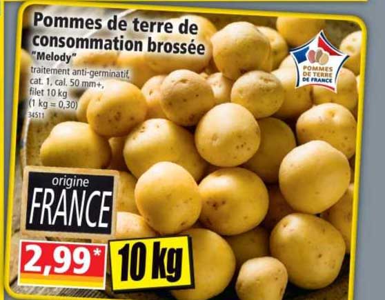 pommes de terre de consommation brossée "melody"